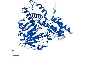 AlphaFold protein structure predicition of Mouse Recombinant Psat1 Protein, UniprotID Q99K85
