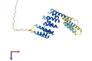 AlphaFold protein structure predicition of Human Recombinant PEX26 Protein, UniprotID Q7Z412