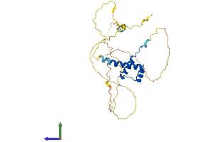 AlphaFold protein structure predicition of Human Recombinant NKX2-6 Protein, UniprotID A6NCS4