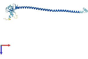 AlphaFold protein structure predicition of Human Recombinant TRIM74 Protein, UniprotID Q86UV6