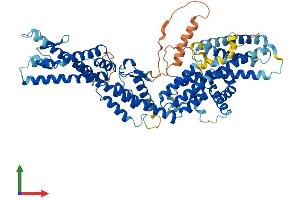 AlphaFold protein structure predicition of Human Recombinant TUBGCP4 Protein, UniprotID Q9UGJ1