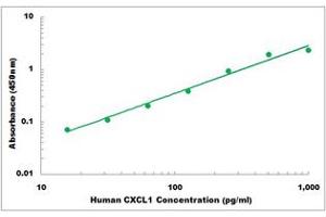 Representative Standard Curve (CXCL1 Kit ELISA)