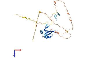 AlphaFold protein structure predicition of Human Recombinant BOLL Protein, UniprotID Q8N9W6