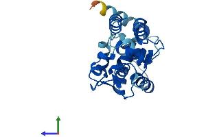 AlphaFold protein structure predicition of Mouse Recombinant Capsl Protein, UniprotID Q6P8Y1