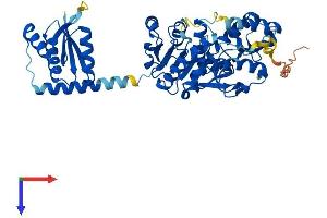 AlphaFold protein structure predicition of Mouse Recombinant Mdh1b Protein, UniprotID Q5F204
