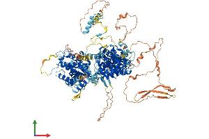 AlphaFold protein structure predicition of Mouse Recombinant Rbl1 Protein, UniprotID Q64701