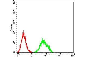 Flow cytometric analysis of Ramos cells using CD182 mouse mAb (green) and negative control (red).