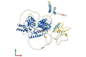 AlphaFold protein structure predicition of Human Recombinant INTS6 Protein, UniprotID Q9UL03