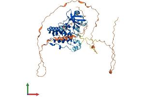 AlphaFold protein structure predicition of Human Recombinant RIPK3 Protein, UniprotID Q9Y572