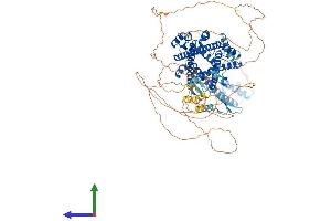AlphaFold protein structure predicition of Mouse Recombinant Prpf40a Protein, UniprotID Q9R1C7