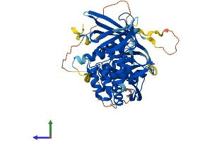 AlphaFold protein structure predicition of Human Recombinant SNX17 Protein, UniprotID Q15036