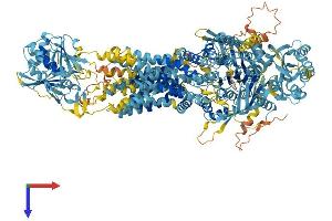 AlphaFold protein structure predicition of Human Recombinant ABCA9 Protein, UniprotID Q8IUA7