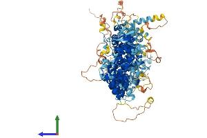 AlphaFold protein structure predicition of Human Recombinant ABTB2 Protein, UniprotID Q8N961