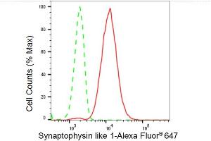 Flow cytometric analysis of Synaptophysin like 1 expression in HeLa cells using Synaptophysin like 1 antibody (ABIN7800486), 1:2,000). (Recombinant SYPL1 anticorps)