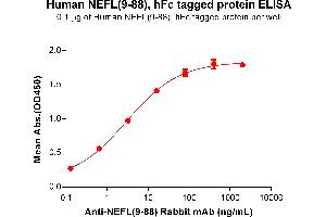 ELISA plate pre-coated by 1 μg/mL (100 μL/well) Human NEFL (9-88) Protein, hFc Tag (ABIN7092809, ABIN7272428 and ABIN7272429) can bind Anti-NEFL(9-88) antibody(DM198), Rabbit mAb ABIN7455261, ABIN7490480 and ABIN7490481 in a linear range of 0.