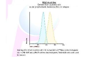 Image no. 1 for anti-CD1a (CD1a) antibody (CF405M) (ABIN1112080) (CD1a anticorps  (CF405M))