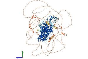 AlphaFold protein structure predicition of Mouse Recombinant Ptpn14 Protein, UniprotID Q62130