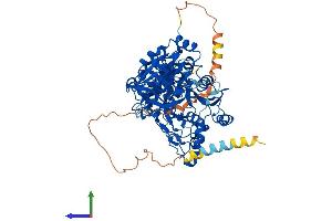 AlphaFold protein structure predicition of Mouse Recombinant Galnt7 Protein, UniprotID Q80VA0