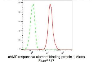Flow cytometric analysis of cAMP responsive element binding protein 1 expression in C2C12 cells using cAMP responsive element binding protein 1 antibody (ABIN7797855), 1:2,000).