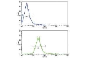 Flow cytometric analysis of NCI-H460 cells using NRG1 antibody (green) compared to a negative control (blue).