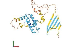 AlphaFold protein structure predicition of Human Recombinant DNAJB8 Protein, UniprotID Q8NHS0
