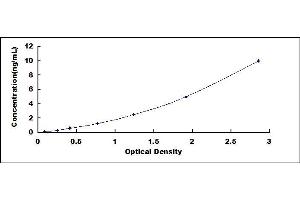 Typical standard curve (WNT10A Kit ELISA)