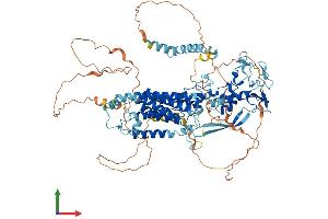 AlphaFold protein structure predicition of Mouse Recombinant Rhbdf1 Protein, UniprotID Q6PIX5