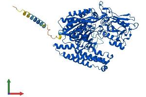 AlphaFold protein structure predicition of Mouse Recombinant Naalad2 Protein, UniprotID Q9CZR2