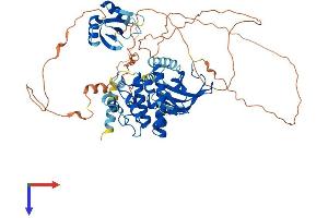 AlphaFold protein structure predicition of Human Recombinant MAP3K2 Protein, UniprotID Q9Y2U5