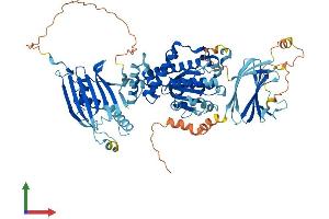 AlphaFold protein structure predicition of Mouse Recombinant Sec14l1 Protein, UniprotID A8Y5H7