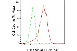 Flow cytometric analysis of FTO expression in HepG2 cells using FTO antibody (ABIN7798582), 1:2,000). (Recombinant FTO anticorps)