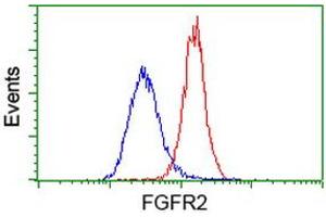 Flow cytometric Analysis of Hela cells, using anti-FGFR2 antibody (ABIN2454557), (Red), compared to a nonspecific negative control antibody, (Blue). (FGFR2 anticorps)