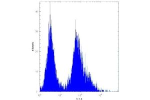 CDKN2B antibody flow cytometric analysis of 293 cells (right histogram) compared to a negative control (left histogram).