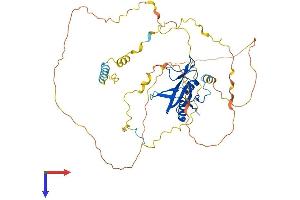 AlphaFold protein structure predicition of Human Recombinant BLNK Protein, UniprotID Q8WV28