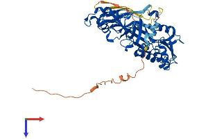 AlphaFold protein structure predicition of Mouse Recombinant Prmt2 Protein, UniprotID Q9R144