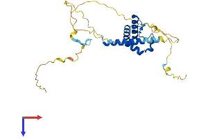 AlphaFold protein structure predicition of Human Recombinant SLBP Protein, UniprotID Q14493