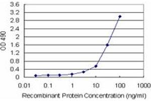 Sandwich ELISA detection sensitivity ranging from 1 ng/mL to 100 ng/mL. (KHK (Humain) Matched Antibody Pair)