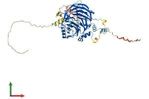 AlphaFold protein structure predicition of Human Recombinant DCAF11 Protein, UniprotID Q8TEB1