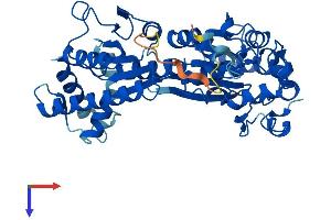 AlphaFold protein structure predicition of Mouse Recombinant Pfkfb4 Protein, UniprotID Q6DTY7