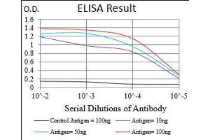 Black line: Control Antigen (100 ng), Purple line: Antigen(10 ng), Blue line: Antigen (50 ng), Red line: Antigen (100 ng),