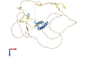 AlphaFold protein structure predicition of Human Recombinant HOXB3 Protein, UniprotID P14651