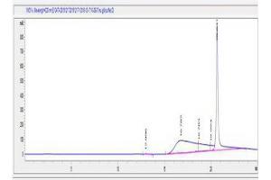 Image no. 2 for IgM peptide (Ovalbumin) (ABIN5666233) (IgM peptide (Ovalbumin))