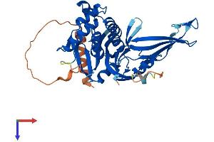 AlphaFold protein structure predicition of Human Recombinant USP18 Protein, UniprotID Q9UMW8