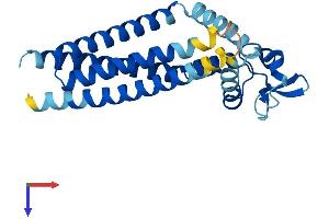AlphaFold protein structure predicition of Human Recombinant TSPAN8 Protein, UniprotID P19075