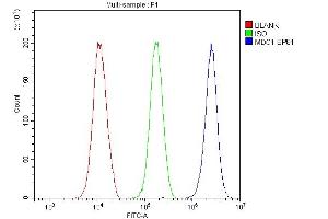 Flow Cytometry analysis of 293T cells using anti-MDC1 antibody (ABIN5693232). (MDC1 anticorps  (AA 534-626))