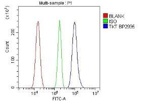 Flow Cytometry analysis of U87 cells using anti-Transketolase/TKT antibody (ABIN7598959). (TKT anticorps  (AA 1-116))
