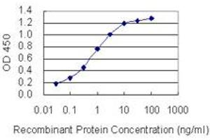 Detection limit for recombinant GST tagged RPGRIP1 is 0. (RPGRIP1 anticorps  (AA 1187-1286))