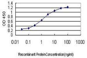 Detection limit for recombinant GST tagged RBAK is approximately 0. (RBAK anticorps  (AA 51-150))
