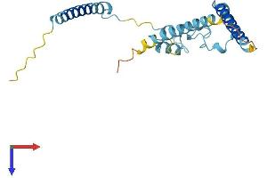 AlphaFold protein structure predicition of Mouse Recombinant rp9 Protein, UniprotID P97762