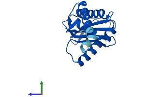 AlphaFold protein structure predicition of Mouse Recombinant Ap1s1 Protein, UniprotID P61967
